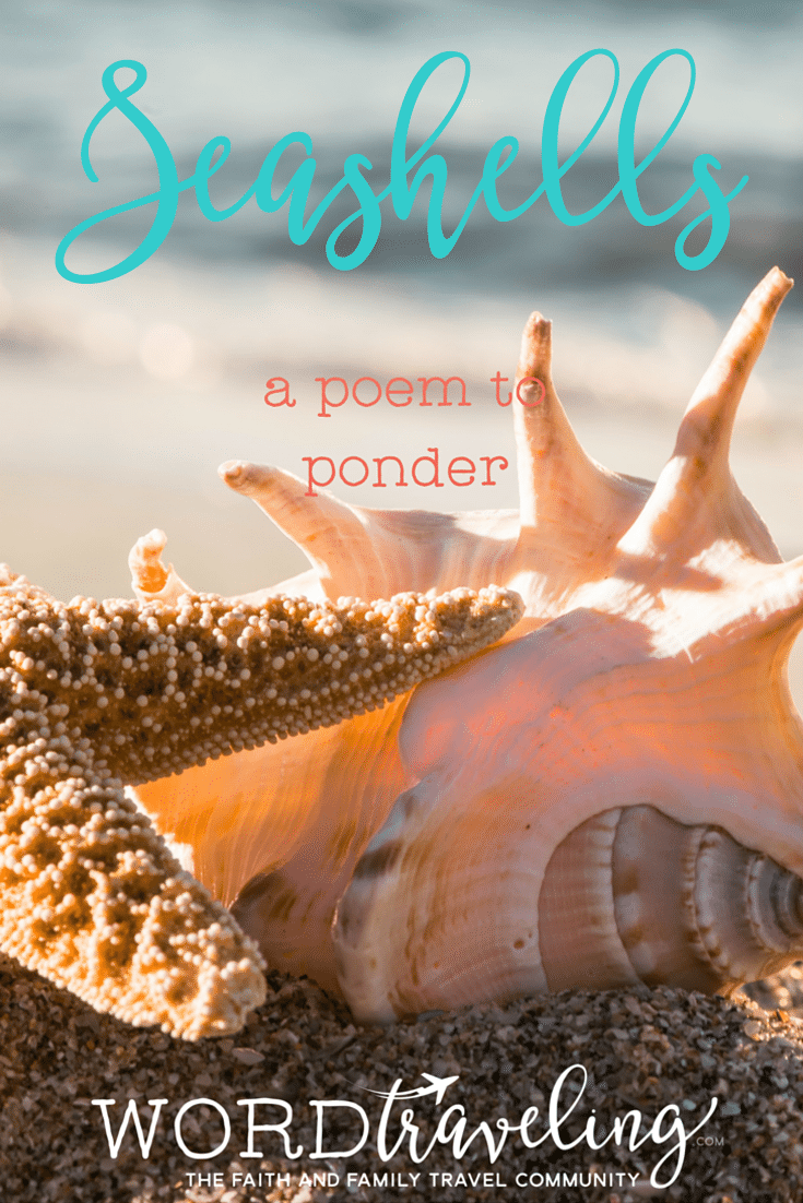 Seashells- A Poem to Ponder