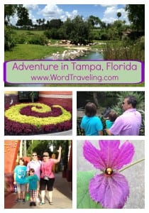 Adventure in Tampa, Florida with a Family