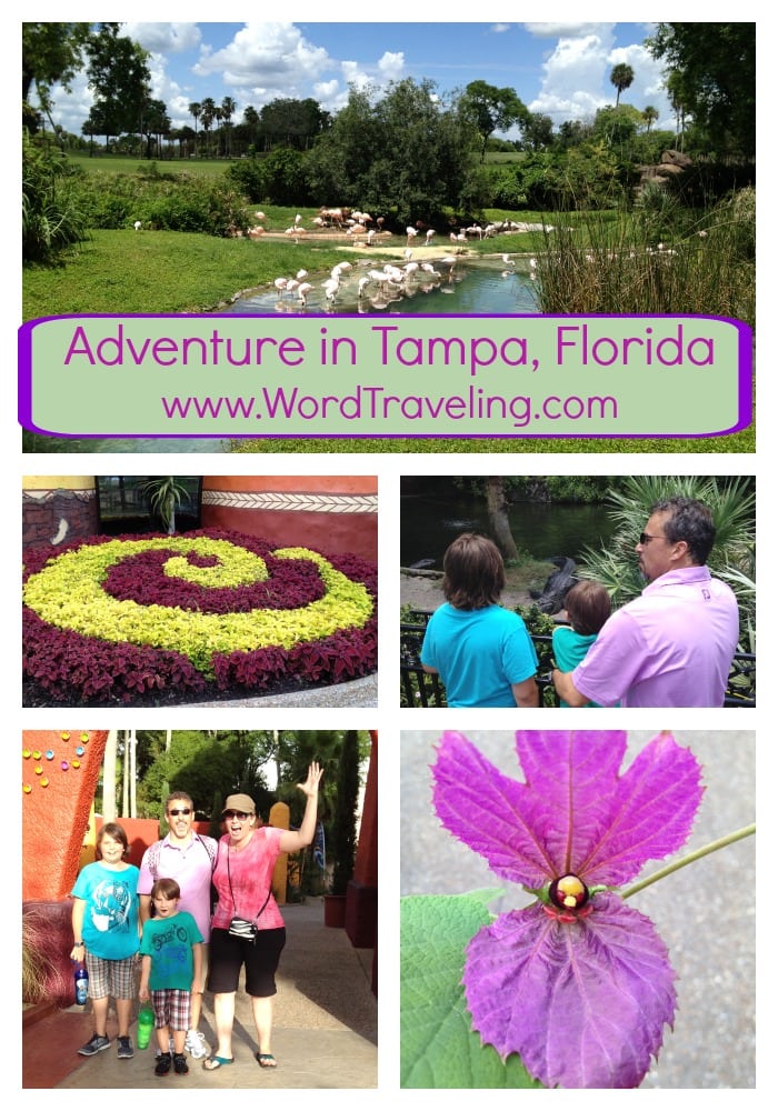 Adventure in Tampa, Florida with a Family