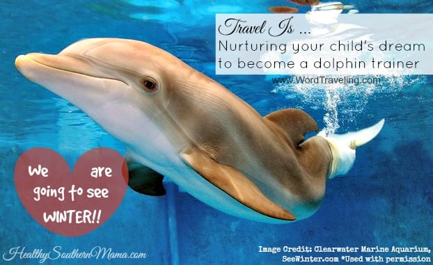 Travel can nurture your child's life dreams. Read about one dream coming true by visiting Winter the Dolphin via www.WordTraveling.com