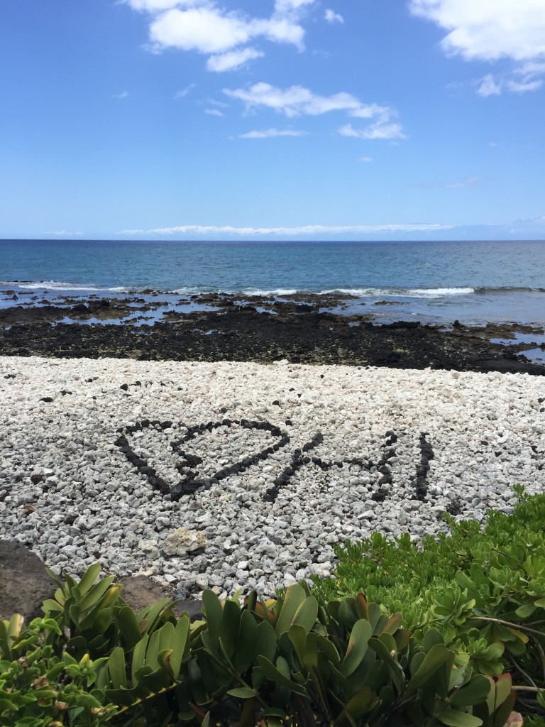 Lava Fields and Shells Hilton Waikoloa Village, Big Island