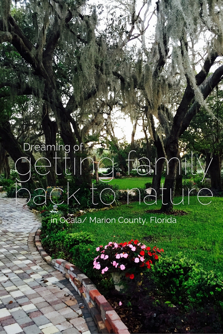 Dreaming of Getting our Family Back into Nature in Ocala/Marion County, Florida