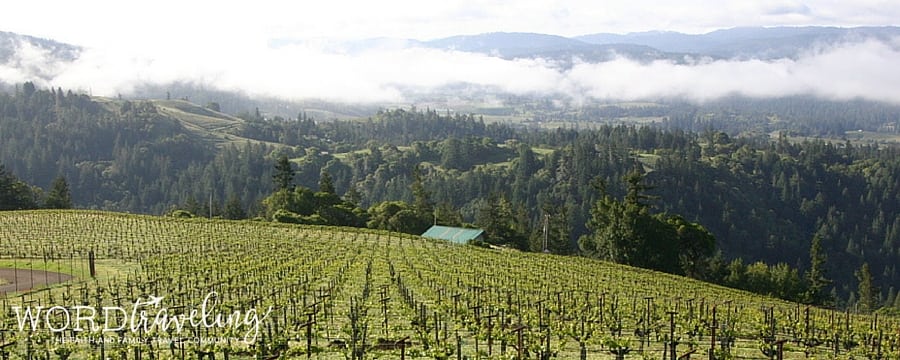 Esterlina vineyards