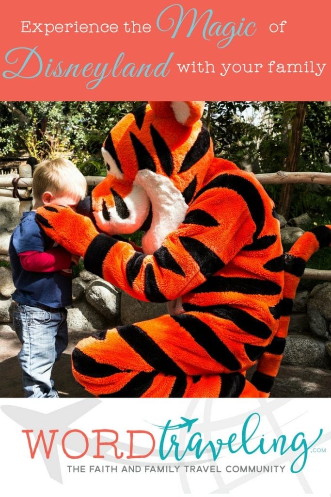 Disneyland Travel