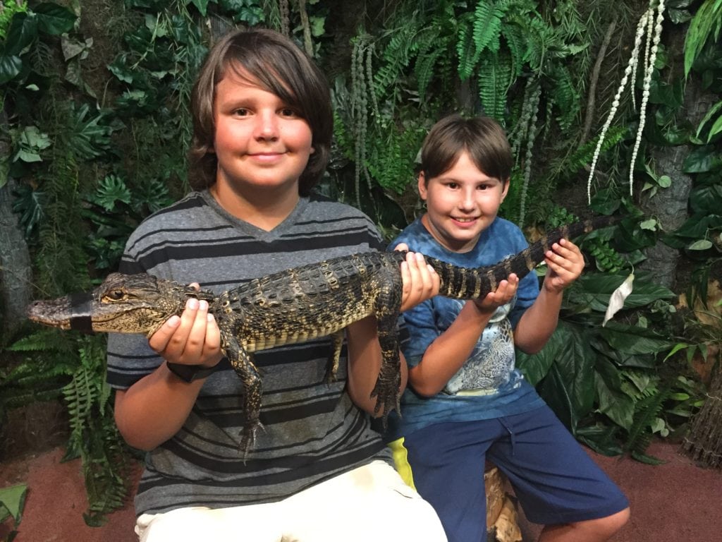 holding a gator at Fudpucker's Destin