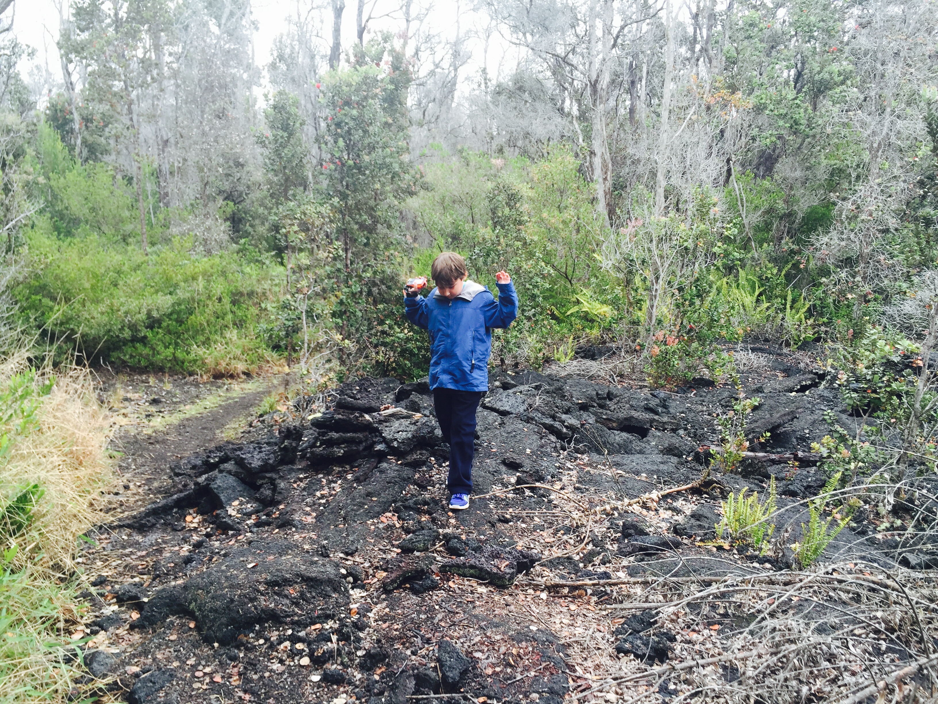 Visiting Volcanos in the USA with Kids